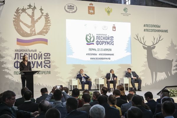Национальный лесной форум, Пермь, 2019 г.